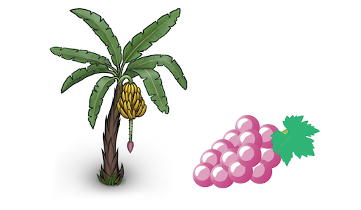 Estatutos: Bananeira e videira não se enquadram como árvores